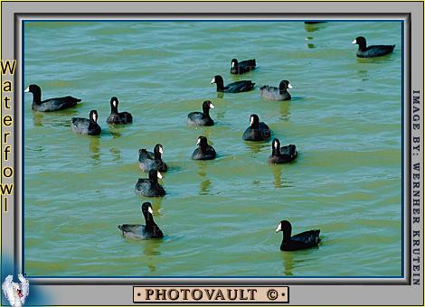 water13.jpg