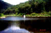 fishpond.jpg (108850 bytes)