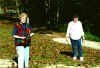 horseshoes.jpg (152890 bytes)