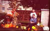 pumpkins2.JPG (39127 bytes)