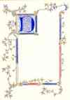 Illumination number 2, stage 3, with the D