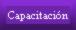 Capacitaci�n