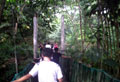 The Hanging Bridge
