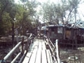 Welcome to Isla Pulo