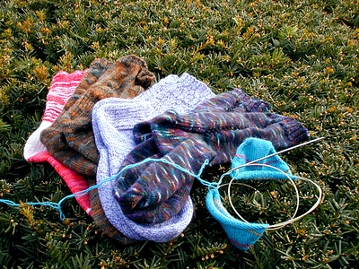 Socks