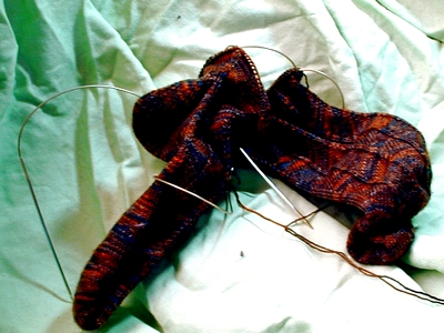 Jaywalker Socks
