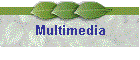 Multimedia