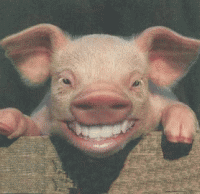 Paul Martin is Laughing at YOU