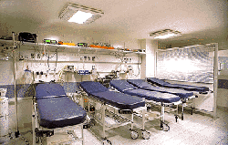 beds
