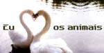 ...E amar � respeitar!