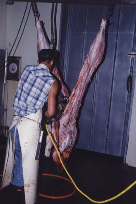 A�ogueiro cortando vaca ao meio.