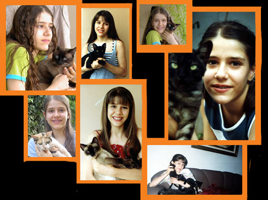 Alguns de meus gatos (Nino, Neco, Heidi, Mimi, Drico...) 