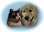 Clique aqui para entrar no site All for Animals!