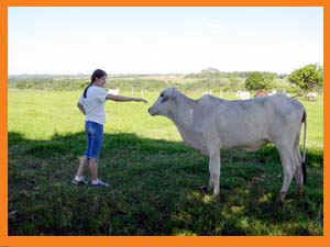 S�tio de Monte Belo.