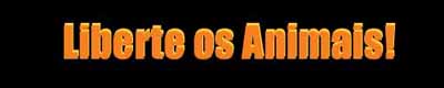 Seja muito bem vindo ao site!