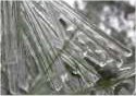 Ice Covered Pine Needles Photo