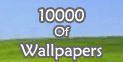 >>WALLPAPERS<<