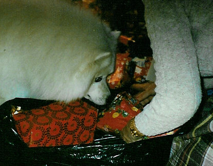 Frosty intensely stares at a gift in Mom's hands