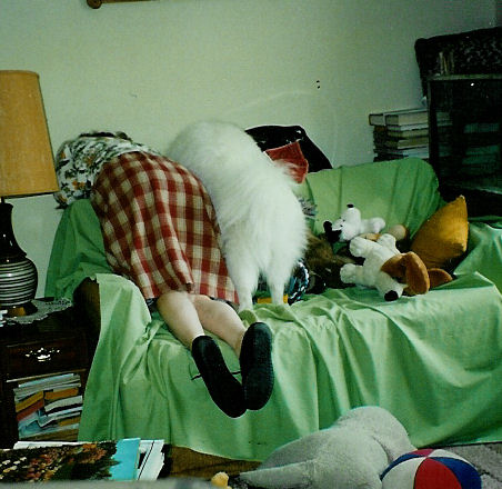 Frosty and Mom looking over the side of the couch at all the toys hidden behind it
