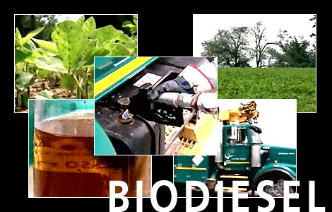 Biodiesel