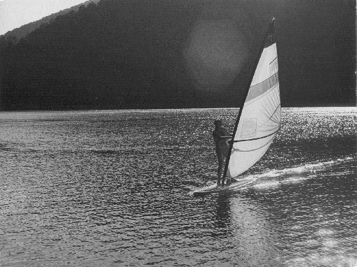 In the Wind (Lake Tarnita near Cluj-Napoca)