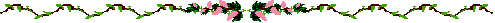Planta