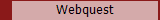 Webquest