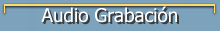 Audio Grabaci�n