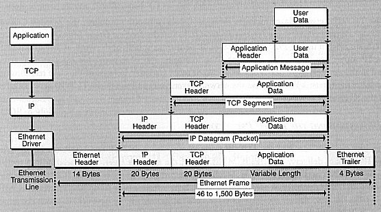 Diagram of an internet data packet