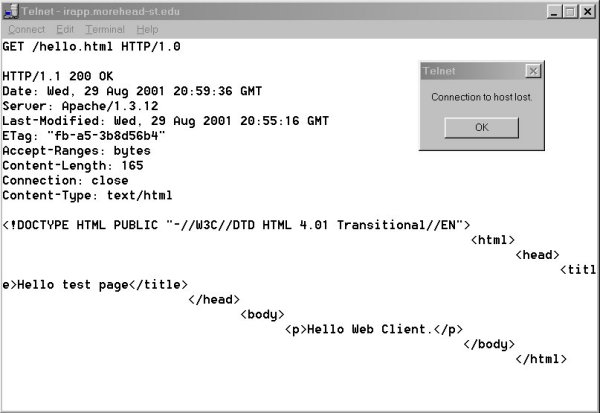 Output to telnet screen