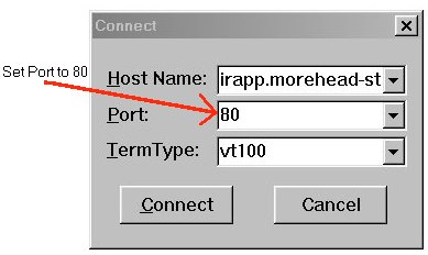 Remote System Dialog Box