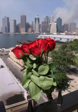 NY Tribute