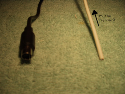 Plugs 2