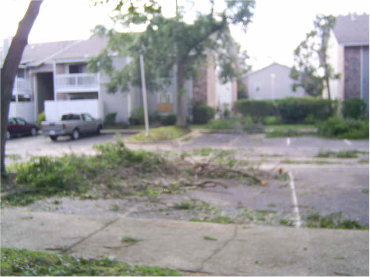 hur-den_debris01.jpg, 35 KB