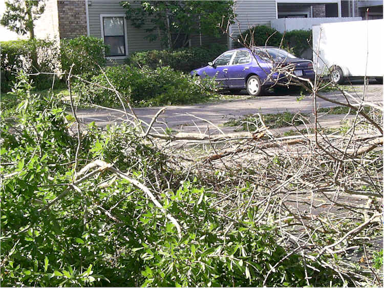 hur-den_debris02.jpg, 104 KB