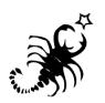 Click here to learn about my scorpio side. 