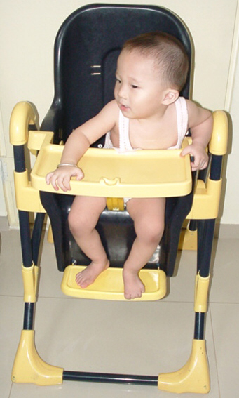 Baby Seat (Yellow & Black)