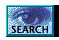 Procurar neste Site