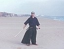 El Maestro Entrenando KumDo...