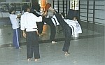 Entrenamiento de t�cnicas utilizando paletas