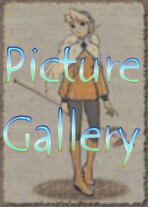 Picture Gallery