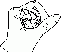 standard origami rose diagram