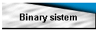 Binary sistem