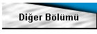 Di�er B�l�m�