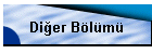 Di�er B�l�m�