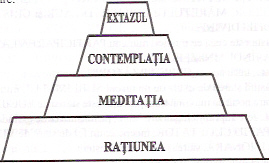 scan10.jpg (26823 bytes)