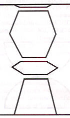 scan25.jpg (16855 bytes)