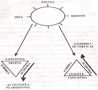 scan4.jpg (56679 bytes)