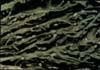 sored e�eysiz---.jpg (9655 bytes)
