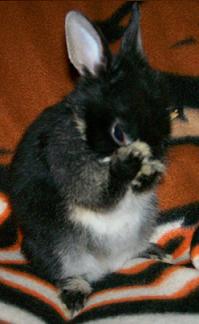 I didn't do it...really!